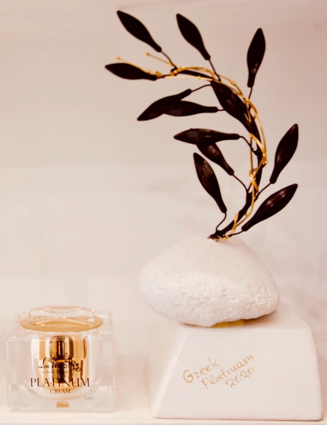 Βραβείο Platinum - Ίδρυμα Μιχάλης Κακογιάννης